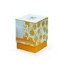 Celeste Hurricane Candle Fragrance Choco Orange Gold Collection-285g