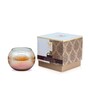 Celeste Matka Candle Fragrance Black Oudh Amber Collection- 145g