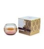 Celeste Matka Candle Fragrance Black Oudh Amber Collection-285g