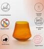 Celestia Harmony Borosilicate Whiskey Glass Set of 4 Amber Glasses