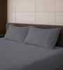 Celestial Gray Solid 500 TC Pure Cotton King Fitted Bedsheet with 2 Pillow Covers