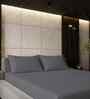 Celestial Gray Solid 500 TC Pure Cotton King Fitted Bedsheet with 2 Pillow Covers