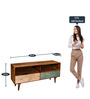 Celestin Tv Console for TVs up to 43" In Rough Distress Finish