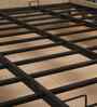 Celesto  Queen Size Bed With Storage In Maple Brown Colour