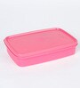 Plastic 100 ML Tiffin Box