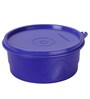 Cello Max Fresh 375 ML Single Polypropylene Container, ( Assorted Color )