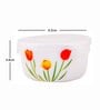 Cello Opalware storage container with Lid (set of 12pcs)
