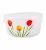 Cello Opalware storage container with Lid (set of 12pcs)