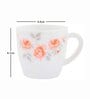 Cello Opalware Tea/Coffee Mugs (set of 12pcs)