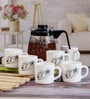 Cello Opalware Tea Set with Glass Pot(Carafe) (set of 6pcs Mugs & 1pc Tea Pot)