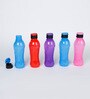 Plastic Multicolour 600 ML Bottle