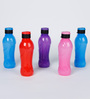 Plastic Multicolour 600 ML Bottle