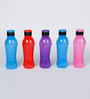 Plastic Multicolour 600 ML Bottle