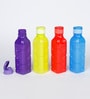 Plastic Multicolour 600 ML Bottle