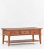 Jasmine Solid Wood Coffee Table With Storage Large In Teak Finish