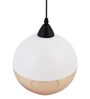 Central Black Glass Hanging Light