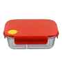 ceradeco Assorted Coloured Rectangular Glass 1000 Ml Tiffen