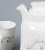 Ceradeco Ceramic Kettle Set