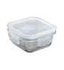 Set of 2 Square Glass Lunch Box