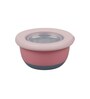 400 ml Pink Stainless Steel Lunch Box