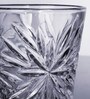 Vinante 250ml (Set of 6) Whiskey Glass
