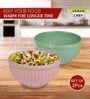 Ceramic Multicolour 500 ML Serving Bowl Set of 2