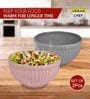 Ceramic Multicolour 500 ML Serving Bowl Set of 2