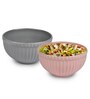 Ceramic Multicolour 500 ML Serving Bowl Set of 2