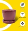 Ceramic Planter with Tray Red