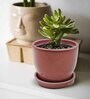 Ceramic Planter with Tray Red