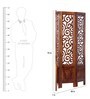 Solid Wood Room Divider in Brown Colour