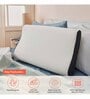 Cervical Contour Memory Foam Pillow (24 x 16 Inch)