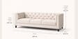 Chester Sofa 3 Seater In Beige Colour