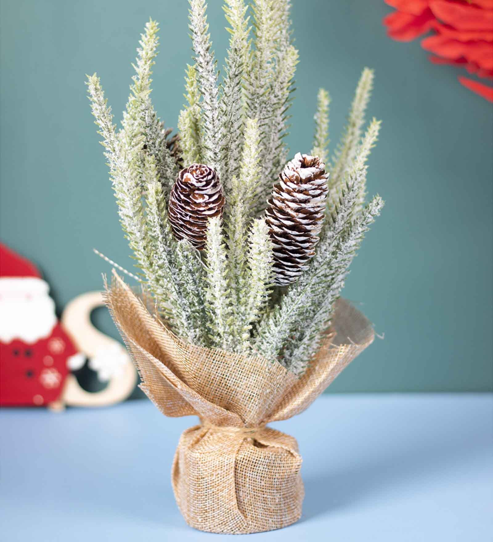 Christmas Tree with Pot Fraser Fir