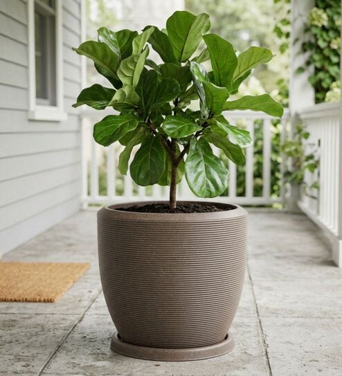 CHIA Choco Brown 12 Inch German Polymer Round Plant Container With Saucer