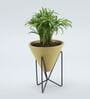 Chamaedorea Natural Plant In Triangular Ceramic Pot With Stand