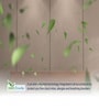 Champ Classic Ortho 5 Inches Rebonded Foam Queen Size Mattress
