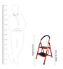 2 Steps 3 ft Mild Steel Step Ladder