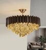  Chandelier Lighting Fixture, Ceiling Hanging Light for Dining Room Bedroom Living Room Entryway (500MM Diameter) (Chocolate Brown)