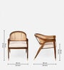 Ruby Natural Cane Arm Chair in Walnut Colour