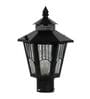 Chandini Black Gate Light