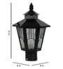 Chandini Black Gate Light