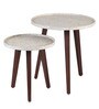 Chantilly Solid Wood Nest of Tables in White & Pastel Finish (Set Of 2)