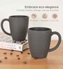 Charcoal Classic Coffee Mug 300 ml (2 Pc)Rice Husk Biocomposite