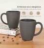 Charcoal Classic Coffee Mug 300 ml (4 Pc)Rice Husk Biocomposite