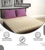 Charcoal Yellow Abstract 144 Tc Cotton Double Bedsheet With 2 Pillowcovers