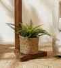 Charles Wooden Shelf Floor Lamp with Jute Shade & Brown Base