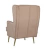 Charm Velvet Fabric Lounge Chair In Brown Colour