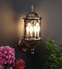 Charmiraar Brass Metal Outdoor Wall Light