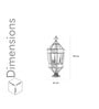 Chateau Brass And Glass Outdoor Light